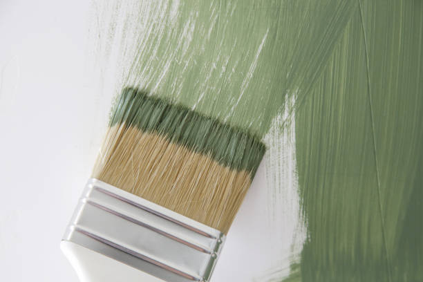 Professional Mold Removal in Mccom, MS